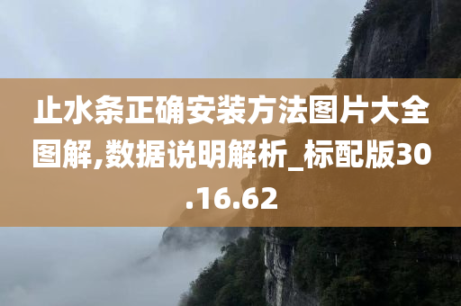 止水条正确安装方法图片大全图解,数据说明解析_标配版30.16.62