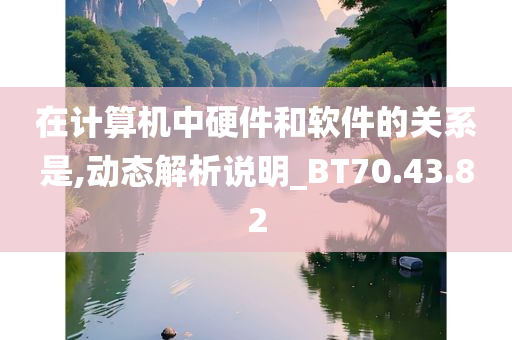 在计算机中硬件和软件的关系是,动态解析说明_BT70.43.82