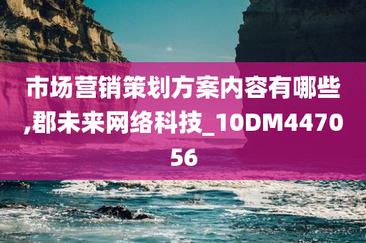 市场营销策划方案内容有哪些,郡未来网络科技_10DM447056