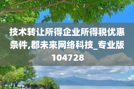 技术转让所得企业所得税优惠条件,郡未来网络科技_专业版104728