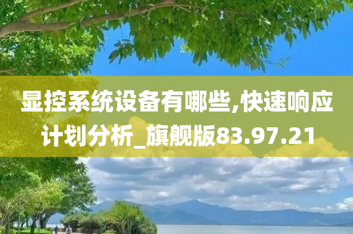 显控系统设备有哪些,快速响应计划分析_旗舰版83.97.21