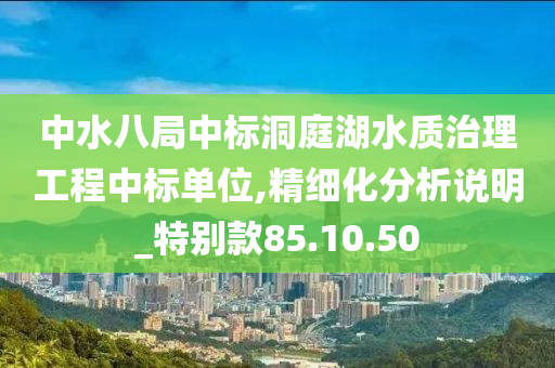 中水八局中标洞庭湖水质治理工程中标单位,精细化分析说明_特别款85.10.50