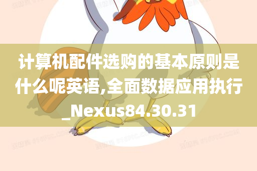 计算机配件选购的基本原则是什么呢英语,全面数据应用执行_Nexus84.30.31