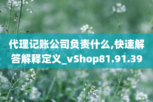 代理记账公司负责什么,快速解答解释定义_vShop81.91.39