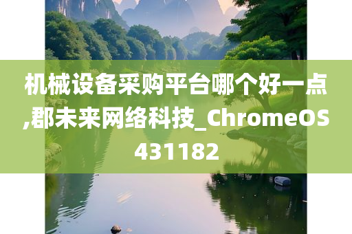 机械设备采购平台哪个好一点,郡未来网络科技_ChromeOS431182