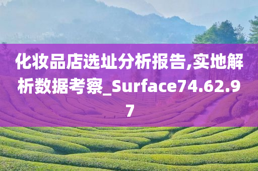 化妆品店选址分析报告,实地解析数据考察_Surface74.62.97