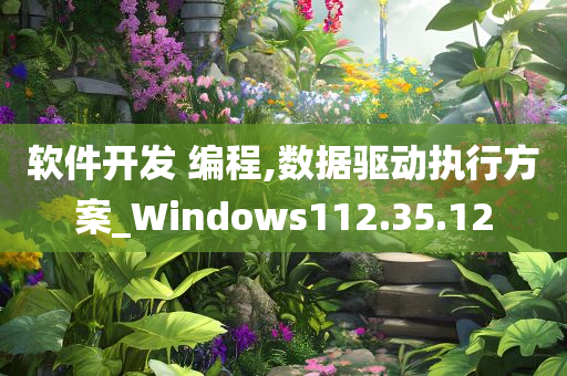 软件开发 编程,数据驱动执行方案_Windows112.35.12