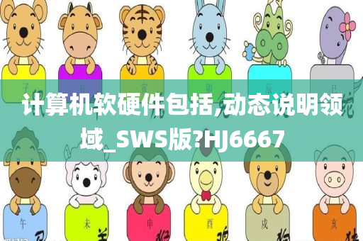 计算机软硬件包括,动态说明领域_SWS版?HJ6667