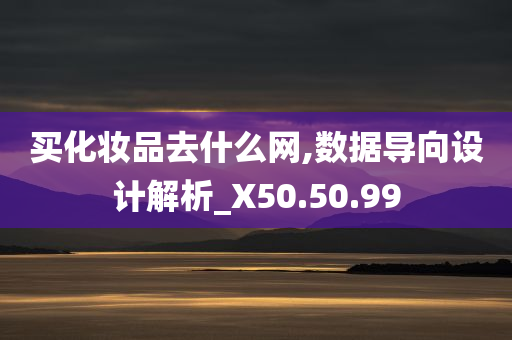 买化妆品去什么网,数据导向设计解析_X50.50.99