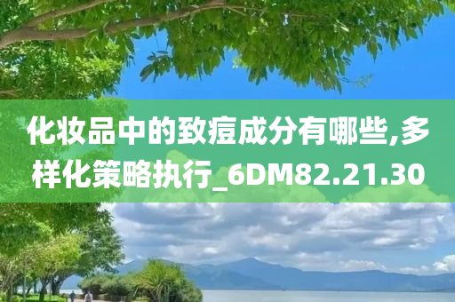 化妆品中的致痘成分有哪些,多样化策略执行_6DM82.21.30