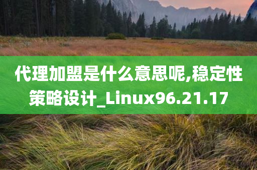 代理加盟是什么意思呢,稳定性策略设计_Linux96.21.17