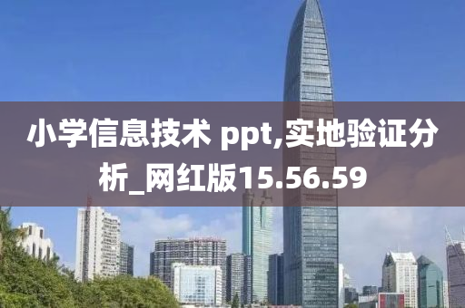 小学信息技术 ppt,实地验证分析_网红版15.56.59