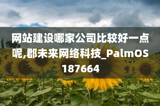 网站建设哪家公司比较好一点呢,郡未来网络科技_PalmOS187664