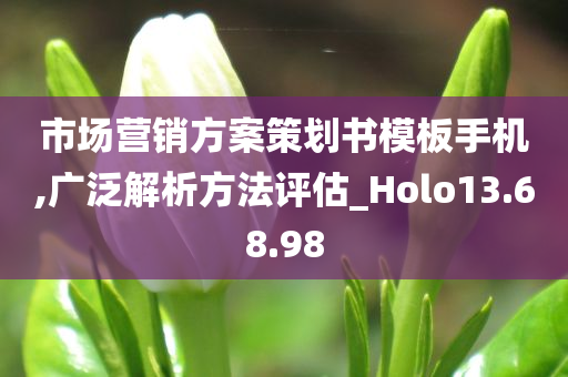 市场营销方案策划书模板手机,广泛解析方法评估_Holo13.68.98