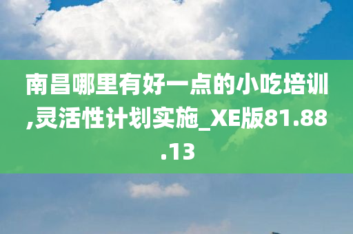 南昌哪里有好一点的小吃培训,灵活性计划实施_XE版81.88.13