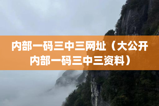 内部一码三中三网址（大公开内部一码三中三资料）