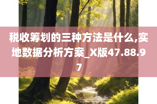 税收筹划的三种方法是什么,实地数据分析方案_X版47.88.97