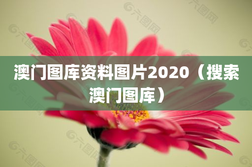 澳门图库资料图片2020（搜索澳门图库）