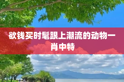 欲钱买时髦跟上潮流的动物一肖中特