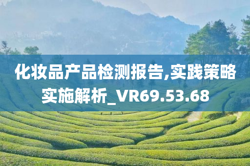 化妆品产品检测报告,实践策略实施解析_VR69.53.68