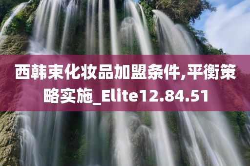 西韩束化妆品加盟条件,平衡策略实施_Elite12.84.51