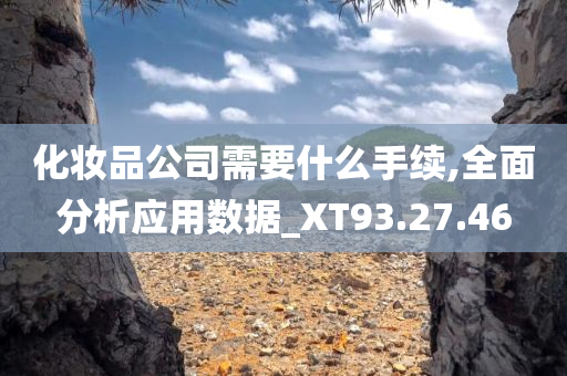 化妆品公司需要什么手续,全面分析应用数据_XT93.27.46