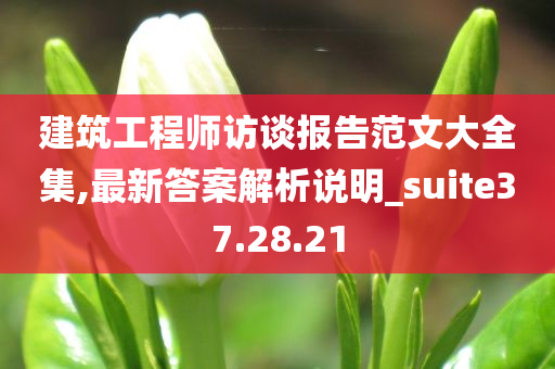 建筑工程师访谈报告范文大全集,最新答案解析说明_suite37.28.21