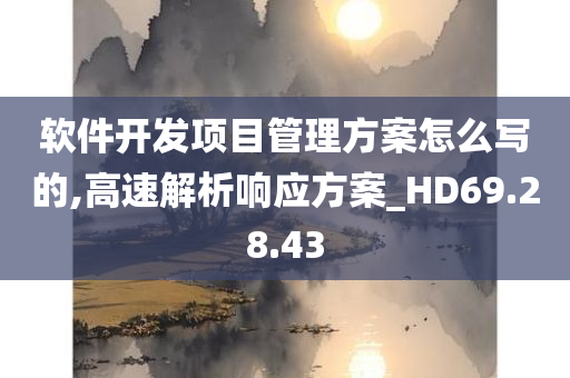 软件开发项目管理方案怎么写的,高速解析响应方案_HD69.28.43