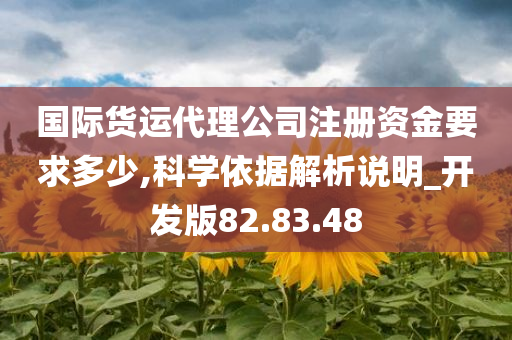 国际货运代理公司注册资金要求多少,科学依据解析说明_开发版82.83.48