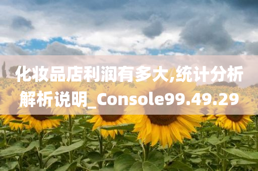 化妆品店利润有多大,统计分析解析说明_Console99.49.29