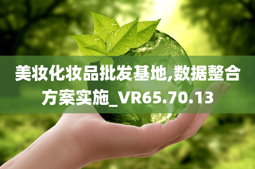 美妆化妆品批发基地,数据整合方案实施_VR65.70.13