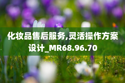 化妆品售后服务,灵活操作方案设计_MR68.96.70