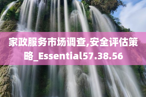 家政服务市场调查,安全评估策略_Essential57.38.56