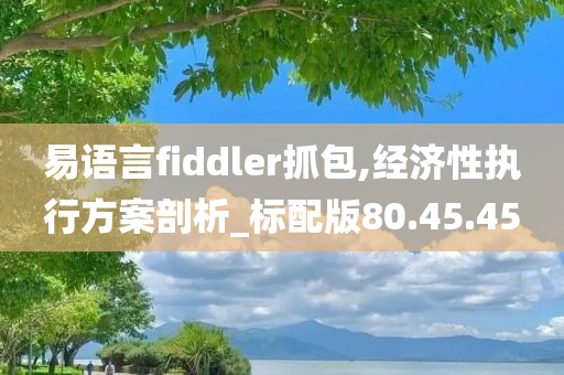 易语言fiddler抓包,经济性执行方案剖析_标配版80.45.45