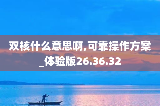 双核什么意思啊,可靠操作方案_体验版26.36.32