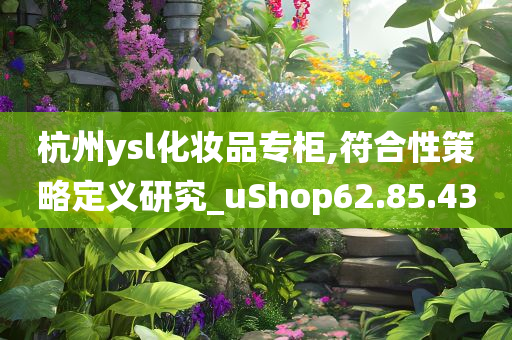 杭州ysl化妆品专柜,符合性策略定义研究_uShop62.85.43