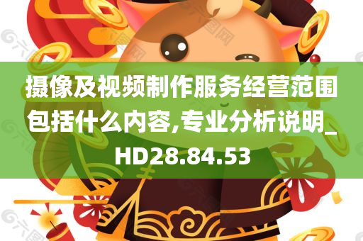 摄像及视频制作服务经营范围包括什么内容,专业分析说明_HD28.84.53