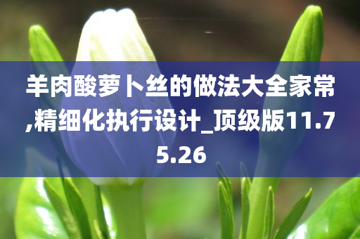 羊肉酸萝卜丝的做法大全家常,精细化执行设计_顶级版11.75.26