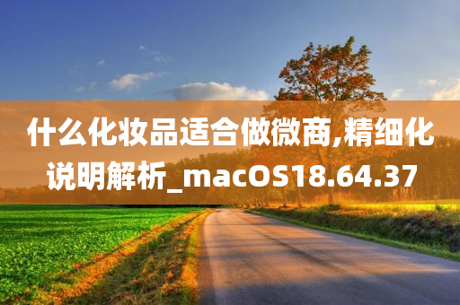 什么化妆品适合做微商,精细化说明解析_macOS18.64.37