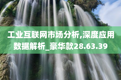 工业互联网市场分析,深度应用数据解析_豪华款28.63.39