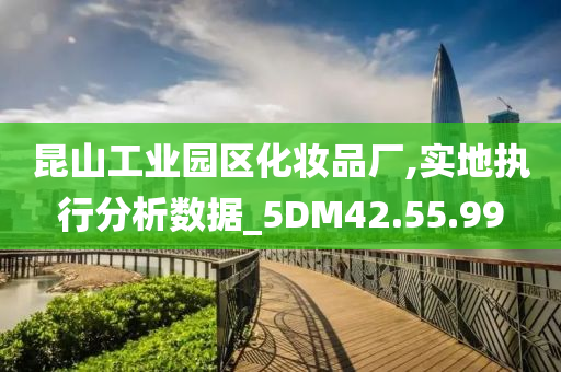 昆山工业园区化妆品厂,实地执行分析数据_5DM42.55.99