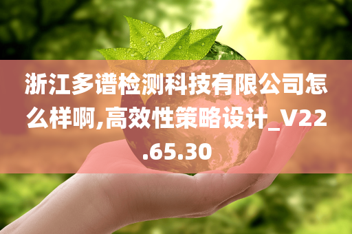 浙江多谱检测科技有限公司怎么样啊,高效性策略设计_V22.65.30