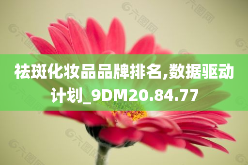 祛斑化妆品品牌排名,数据驱动计划_9DM20.84.77