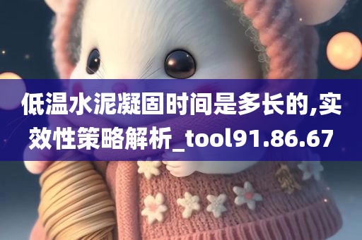 低温水泥凝固时间是多长的,实效性策略解析_tool91.86.67