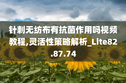 针刺无纺布有抗菌作用吗视频教程,灵活性策略解析_Lite82.87.74