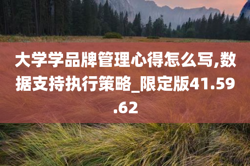 大学学品牌管理心得怎么写,数据支持执行策略_限定版41.59.62