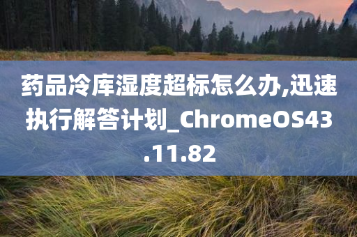 药品冷库湿度超标怎么办,迅速执行解答计划_ChromeOS43.11.82