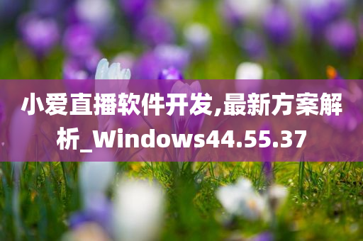 小爱直播软件开发,最新方案解析_Windows44.55.37