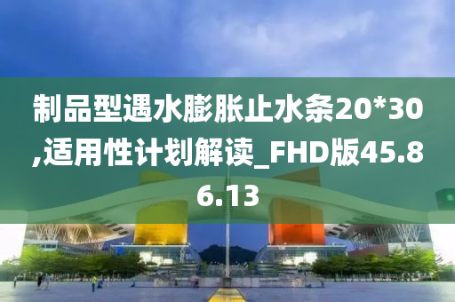 制品型遇水膨胀止水条20*30,适用性计划解读_FHD版45.86.13