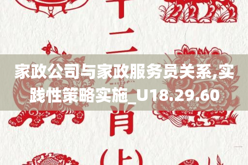 家政公司与家政服务员关系,实践性策略实施_U18.29.60